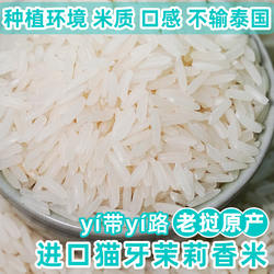 猫牙米进口老挝香米长粒香米大米丝苗米茉莉香米煲仔饭新米