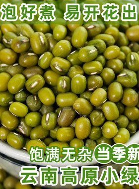 好泡好煮易开花易出沙绿豆