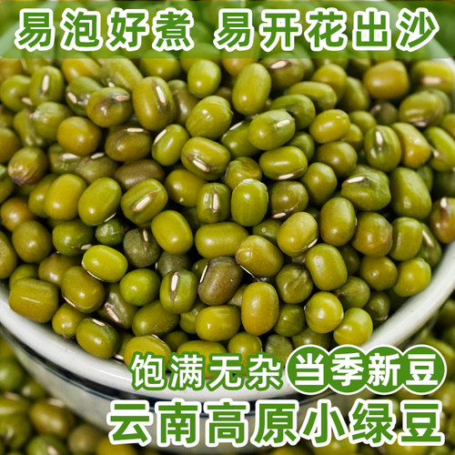 好泡好煮易开花易出沙绿豆