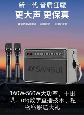 山水SS801音响便携式室内户外带OTG直播K歌声卡蓝牙音响箱一体机