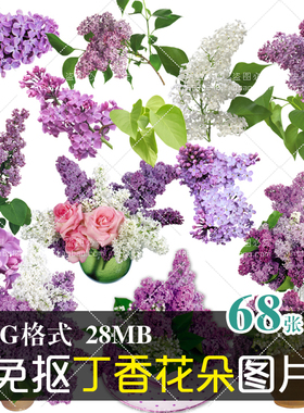 (J202)免抠PNG素材花朵花卉植物紫色丁香花宣传画册设计PS图片