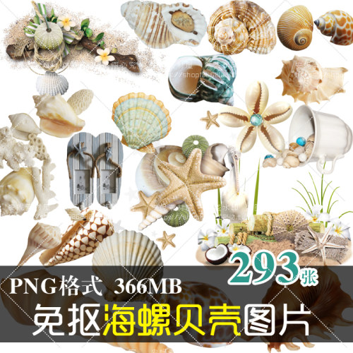 (J252)免抠PNG图片海洋生物海螺漂流瓶贝壳海星图文美化设计素材