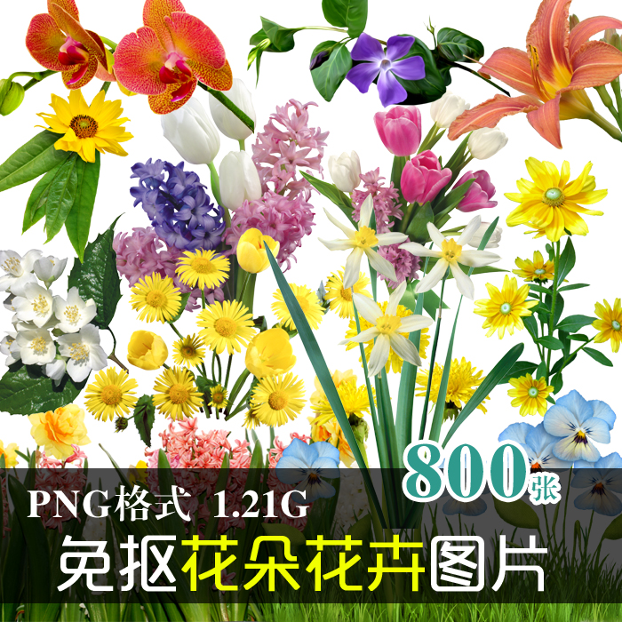 (J272)免抠PNG图片上百种实物花卉花朵植物水仙美化设计PS素材 商务/设计服务 设计素材/源文件 原图主图