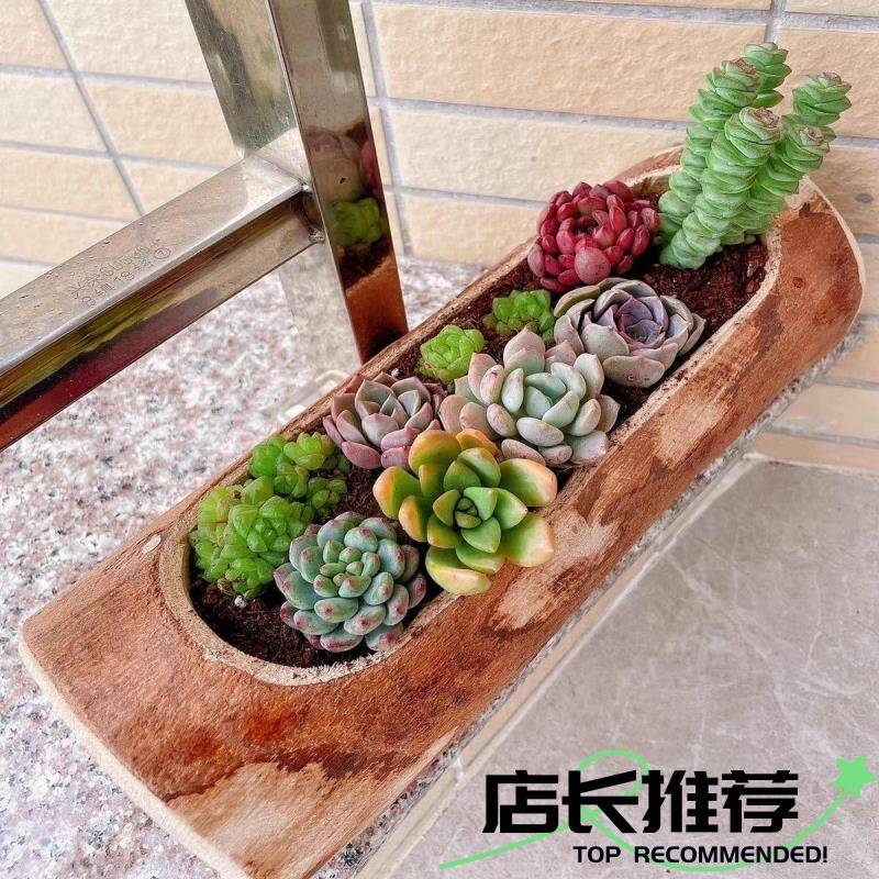 多肉花盆质桩树长条形圆形木异形木桩木头创意造FDD型独花特盆拼