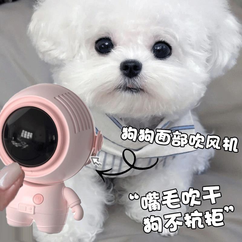 比熊专用面部吹风机迷你嘴毛小狗狗泰迪洗澡脸部无线吹干神器用品