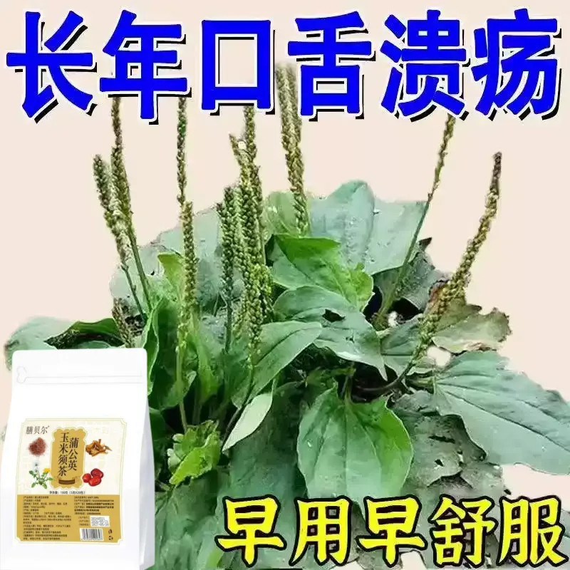 口腔溃疡口舌生疮牙龈肿痛上火起泡嘴唇溃烂正品泡水口腔溃疡茶