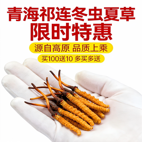 2026新鲜虫草高海拔头茬正品滋补