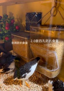 大容量芦丁鸡喂食器自动食槽鹦鹉鸟用专用下料食盒防刨防扒食食盆