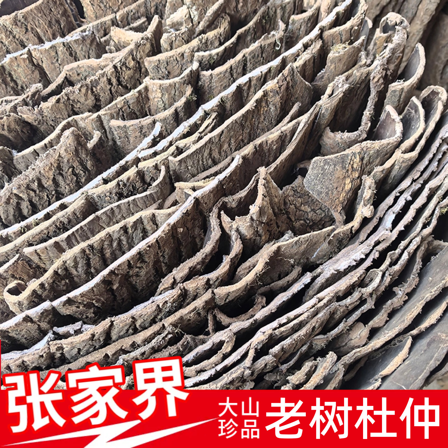 湖南张家界杜仲皮深山老树山野杜仲皮泡茶泡酒杜仲中药材无硫500g