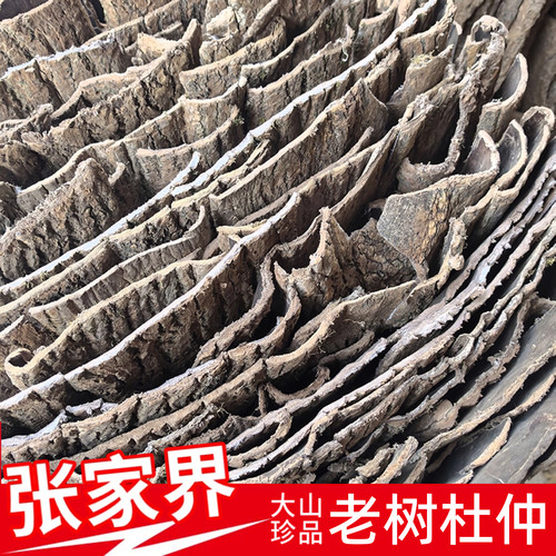 湖南张家界杜仲皮深山老树山野杜仲皮泡茶泡酒杜仲中药材无硫500g