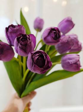 3D仿真提拉米把束郁金香摄影道具客厅餐桌家居陈列装饰花艺摆件
