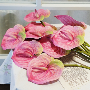 3D仿真硅胶红掌拍照摄影道具家用客厅餐桌家居陈列装 饰花艺摆件