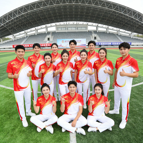 团体翻领短袖POLO衫广场舞夏季