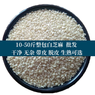 10斤50斤脱皮生白芝麻仁 糕点烘焙用白芝麻干净榨油生芝麻