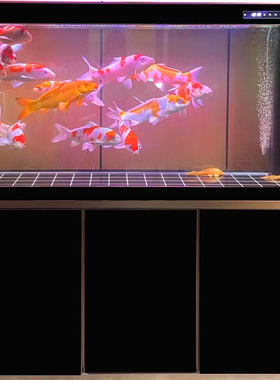 定制闽江鱼缸客厅2025新款生态底滤超白玻璃桌面鱼缸金鱼缸水族箱