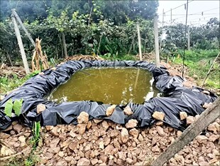 水塘防水布防渗水膜鱼池铺底生态防漏蓄水池藕池护坡塑料布土工膜