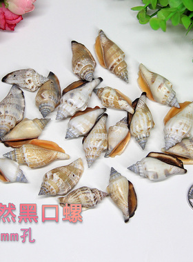 天然贝壳，已打孔，可做吊坠挂饰