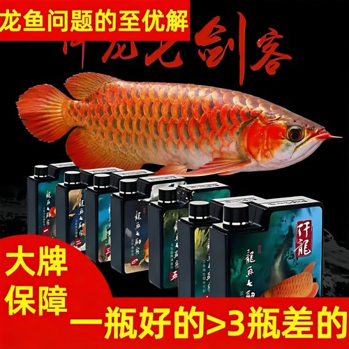 【龙鱼问题终结者】仟龙龙鱼仟湖傲深龙鱼药水全效杀菌治疗寄生虫