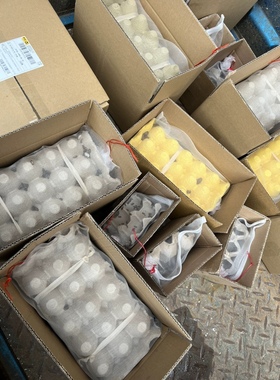 一斤杜比亚蟑螂爬宠昆虫活物饲料宠物半斤