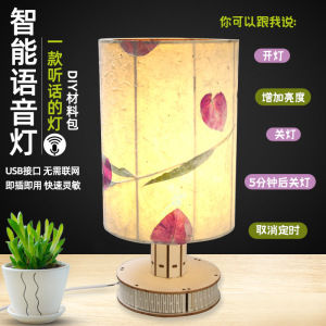 押花台灯手工干花小夜灯 压花植物声控床头灯沙龙团建活动材料diy
