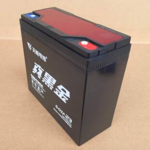 天能铅酸免维护蓄电池 电动车48V23ah 12V23ah 6-DZF-23