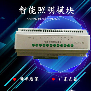 12路DC12V16A路灯灯控灯光 智能照明控制器开关模块4