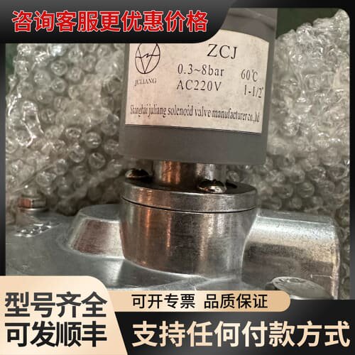 议价ZCJ电磁脉冲阀，型号0.3-8bar，AC220V，1-1可维修