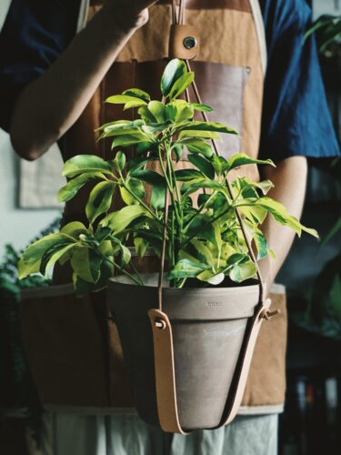 寻得垂吊壁挂植鞣牛皮花盆吊绳