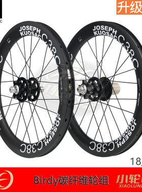 台湾Joseph kuosac鸟车birdy碟刹碳纤维JK轮组18寸355碳刀20寸406