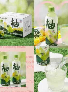 梅州特产饮料500ml*15瓶整箱价