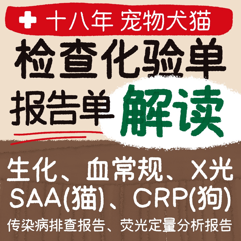 宠物医生问诊在线咨询宠物诊所医诊疗猫咪狗狗看病化验单报告解答 宠物/宠物食品及用品 在线问诊 原图主图