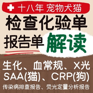 宠物医生问诊在线咨询宠物诊所医诊疗猫咪狗狗看病化验单报告解答