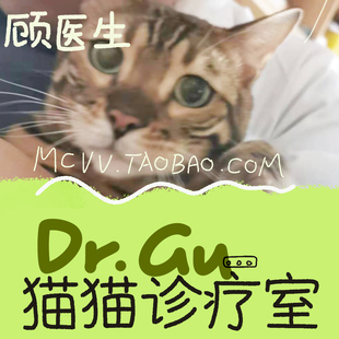 猫猫诊疗室兽医顾医生宠物医生在线咨询宠物诊所线上看病诊疗咨询