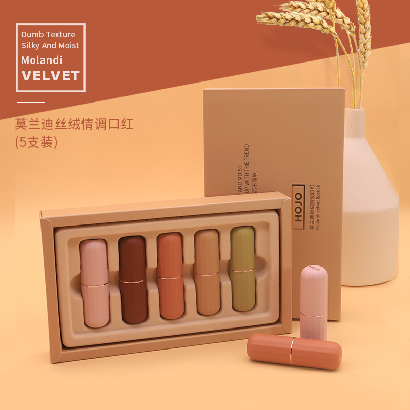 限100000张券李佳琦推荐HOJO莫兰迪丝绒哑光口红套装盒滋润不脱色唇膏女学生款