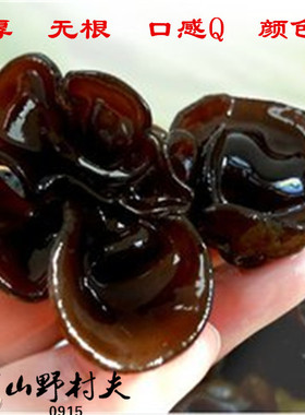 安康石泉陕南特产椴木黑木耳无根秋木耳小碗耳子木耳干货2件包邮