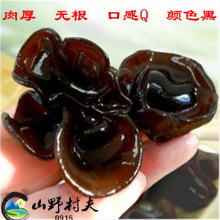 安康石泉陕南特产椴木黑木耳无根秋木耳小碗耳子木耳干货2件包邮