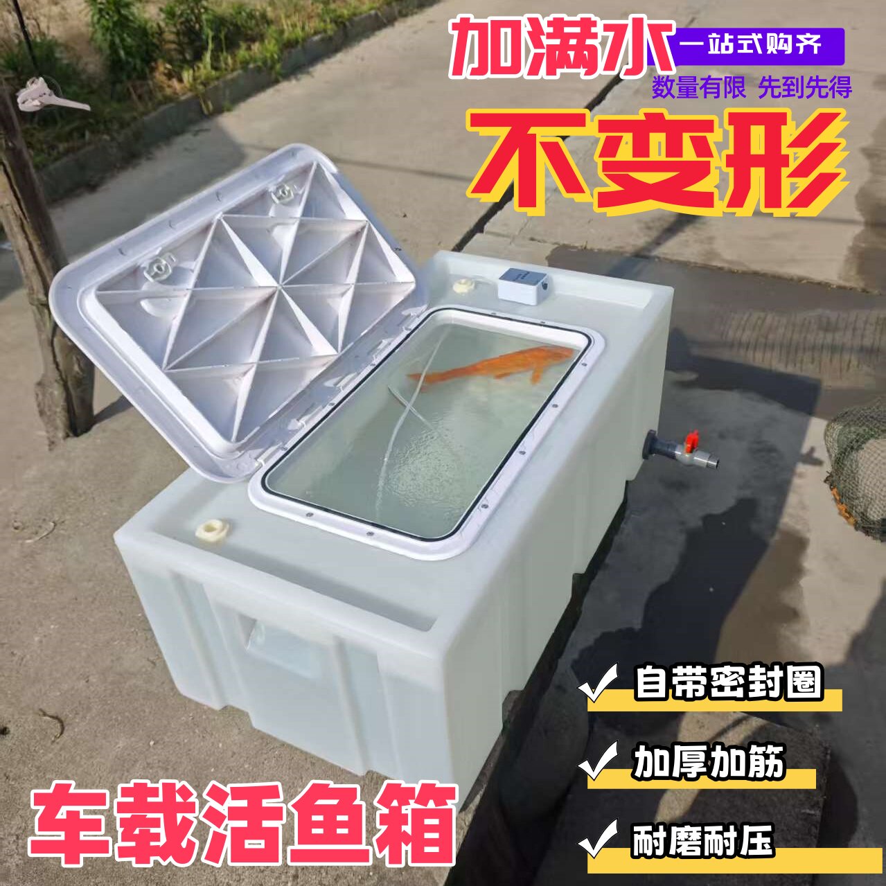 户外钓鱼车载防溢水密封活鱼箱活鱼箱车载带提手活鱼专用运输方箱