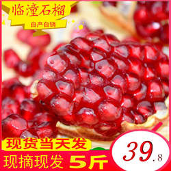 陕西特产西安临潼石榴新鲜孕妇水果甜非软子礼盒精品包装十斤包邮