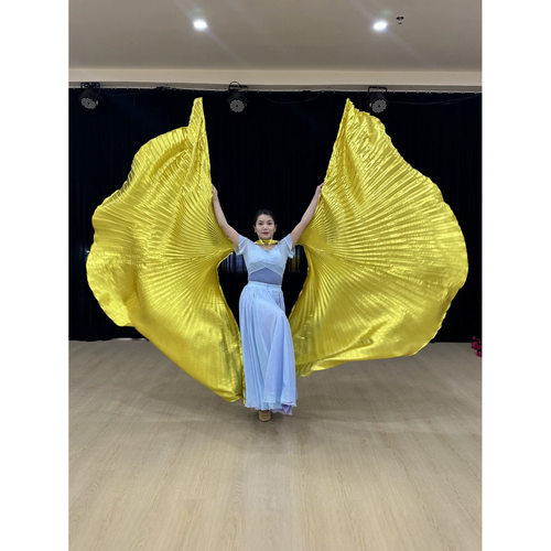 Belly Dance Costume with Gold Wings and Straps Halter
