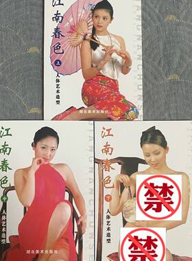 现货全新 艺术摄影书籍64开95页下册 江南春色上中下