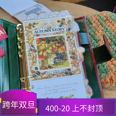 QY野蔷薇插画A5A6A7奇葩M5方方子A5slim手工塑封分隔页田园索引
