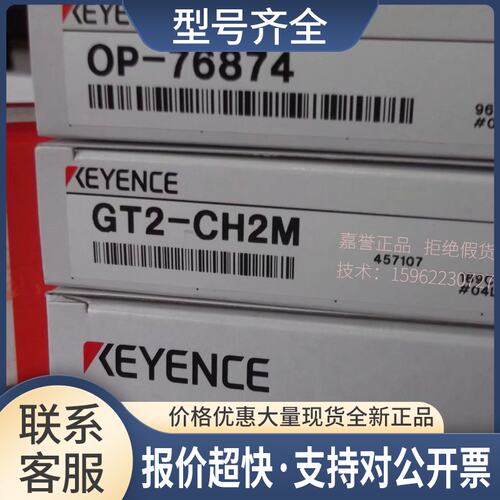 模块DL-RS1A GT2-CH2M/CH2LM OP-76874议价