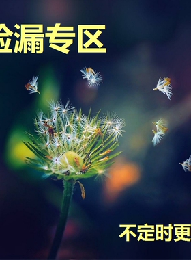 无耳洞女通勤精致树脂耳夹
