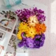 Zou Chrysanthemum Purple Flower Material/1 коробка