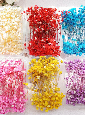满天星干花花束手工diy花材包装饰摆件插花瓶真花永生花手工制作