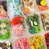 永生花材料包干花相框团扇画贺卡干花手工天然真花盒滴胶diy沙龙