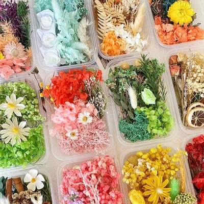 永生花材料包干花相框团扇画贺卡干花手工天然真花盒滴胶diy沙龙