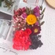 1 модель Red Rose