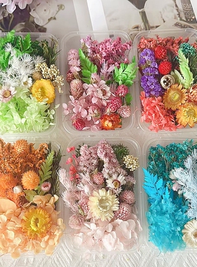 永生花真花diy干花材料