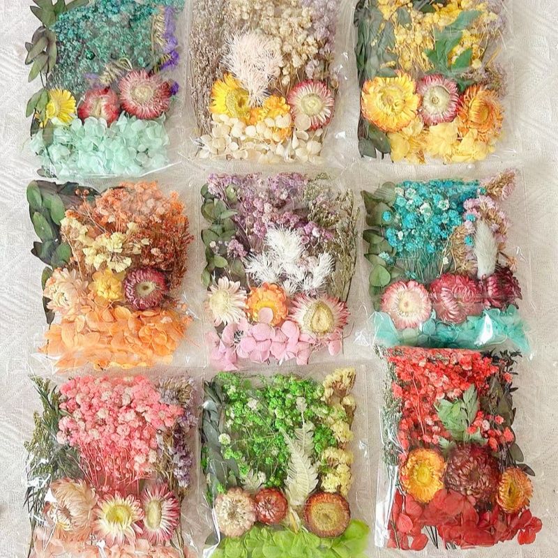 干花diy材料包相框团扇浮游瓶永生花幼儿园真插花装饰团建材料包